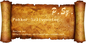 Pekker Szilveszter névjegykártya